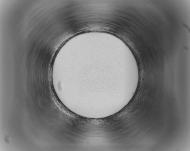 X0000102370848200808221737