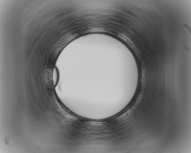 X0000102370849200808221737