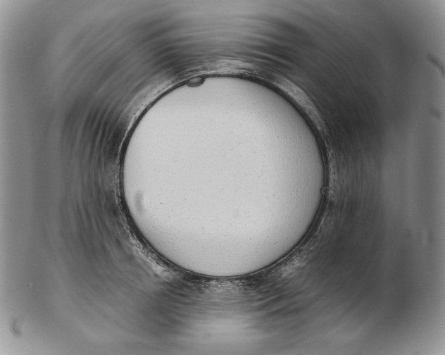 X0000102370850200808221737