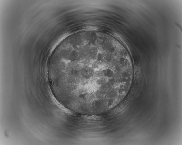 X0000102370851200808221737