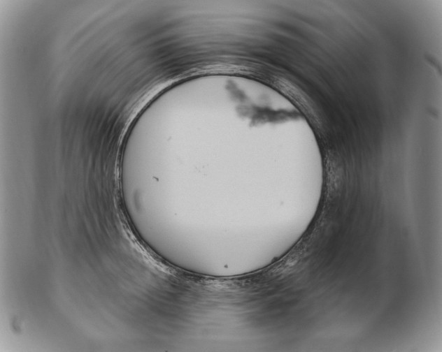 X0000102370852200808221737