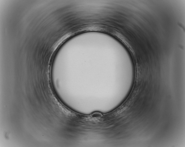 X0000102370853200808221737