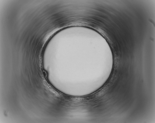 X0000102370854200808221737