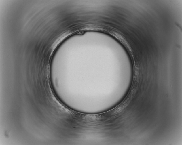 X0000102370855200808221737