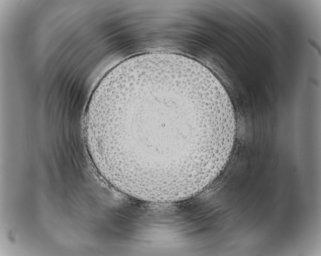 X0000102370856200808221737