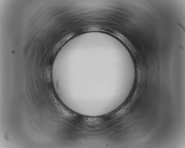 X0000102370857200808221737