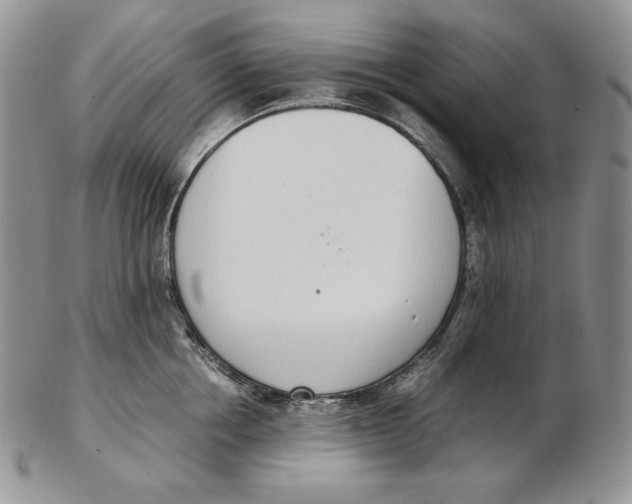 X0000102370858200808221737