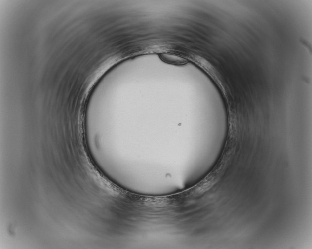 X0000102370859200808221737