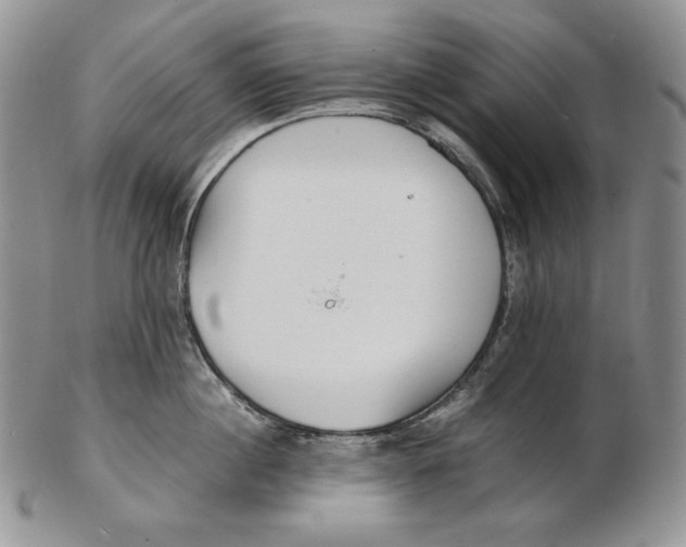 X0000102370860200808221737