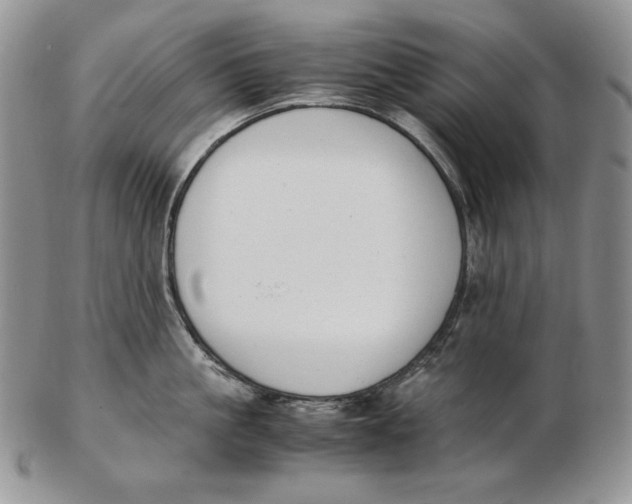 X0000102370861200808221737