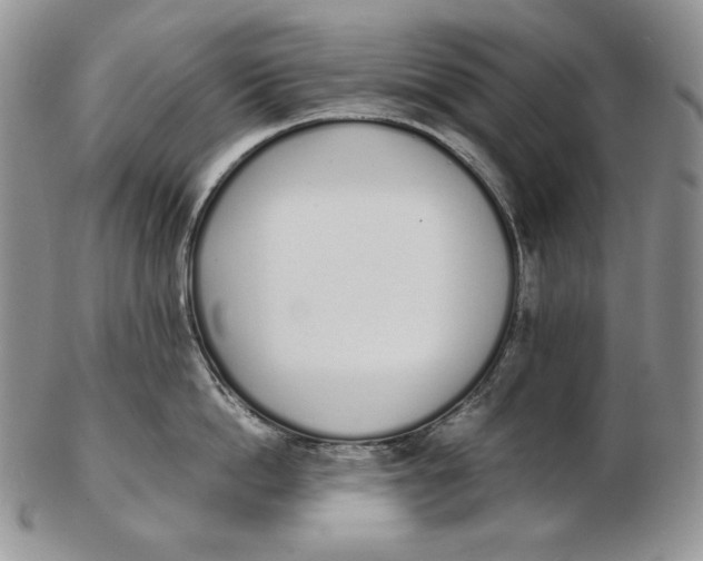 X0000102370862200808221737