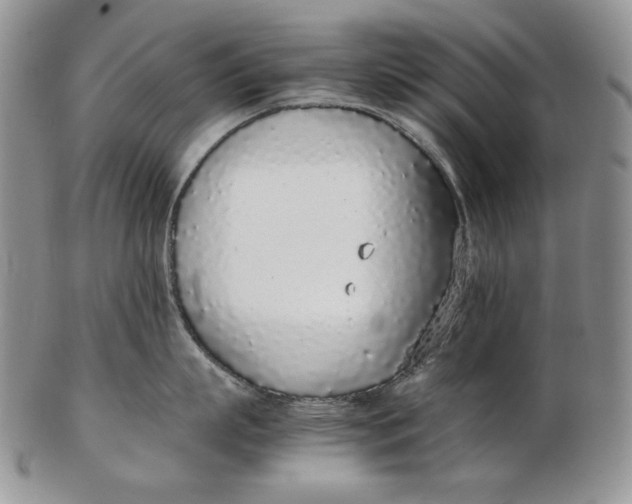 X0000102370863200808221737