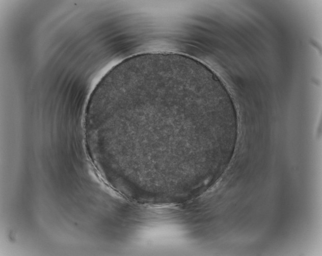 X0000102370864200808221737