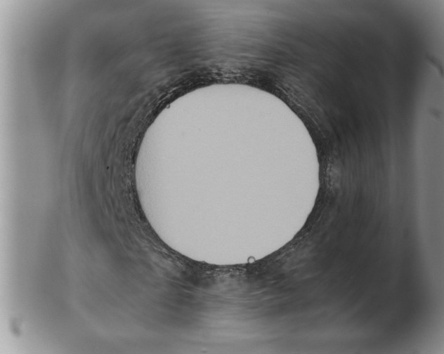 X0000102370865200808221737