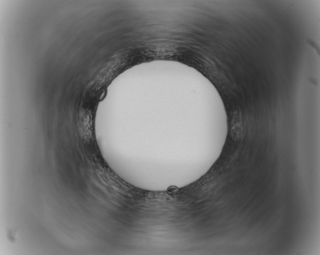 X0000102370866200808221737