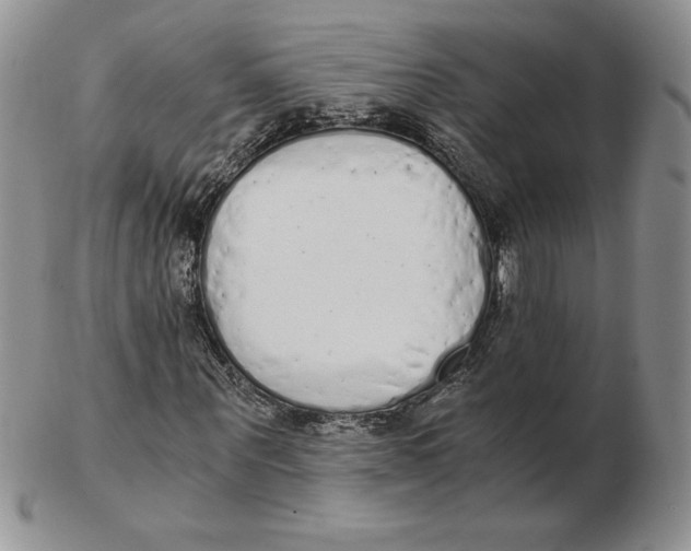 X0000102370867200808221737