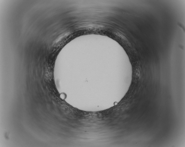 X0000102370869200808221736