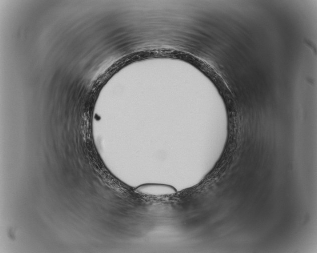 X0000102370871200808221736