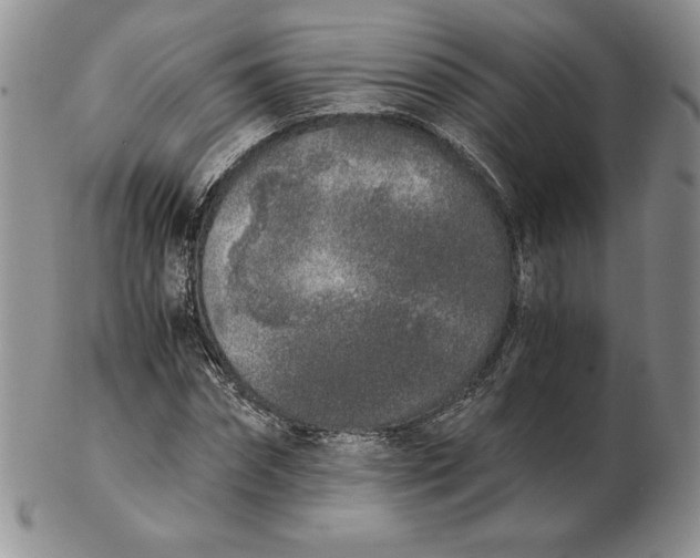 X0000102370874200808221736