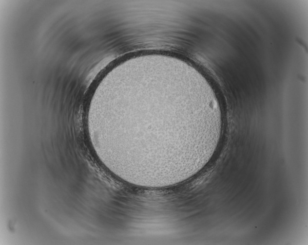 X0000102370875200808221736