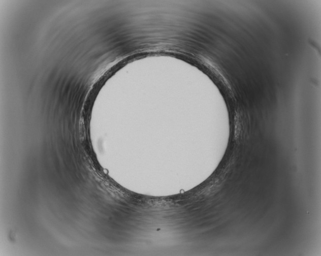 X0000102370876200808221736