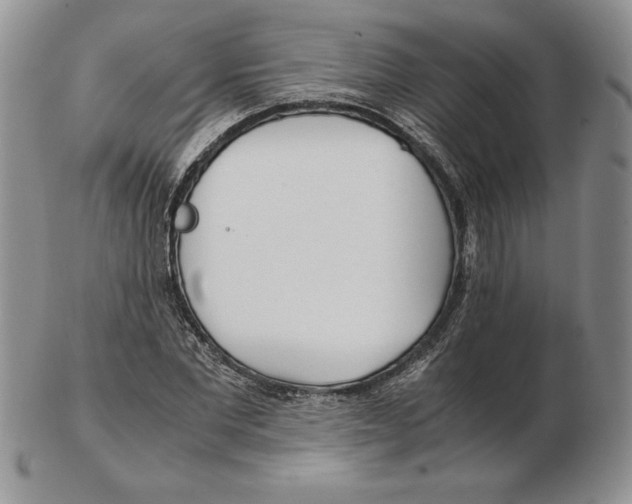 X0000102370877200808221736