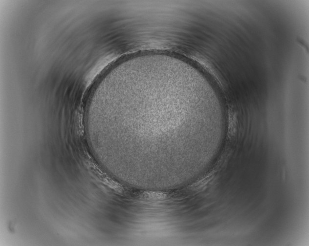 X0000102370878200808221736