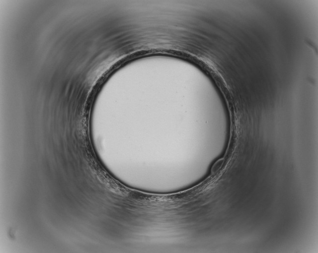 X0000102370879200808221736