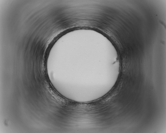 X0000102370880200808221736