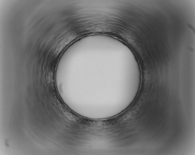 X0000102370881200808221736