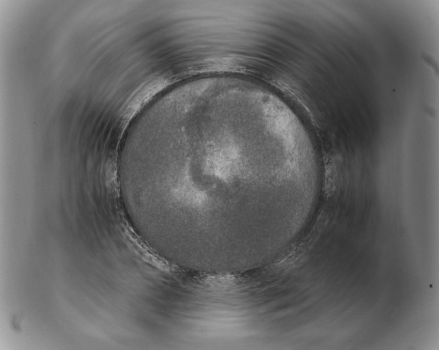 X0000102370882200808221736