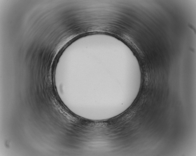 X0000102370884200808221736