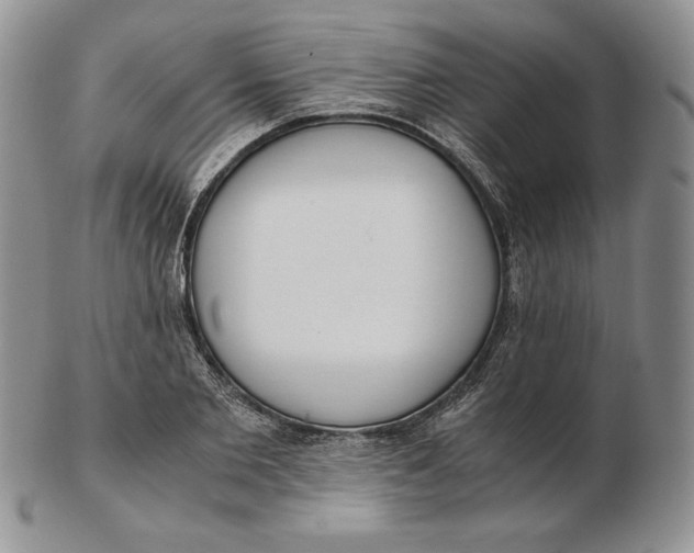 X0000102370885200808221736