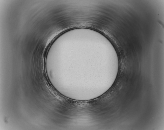 X0000102370886200808221736