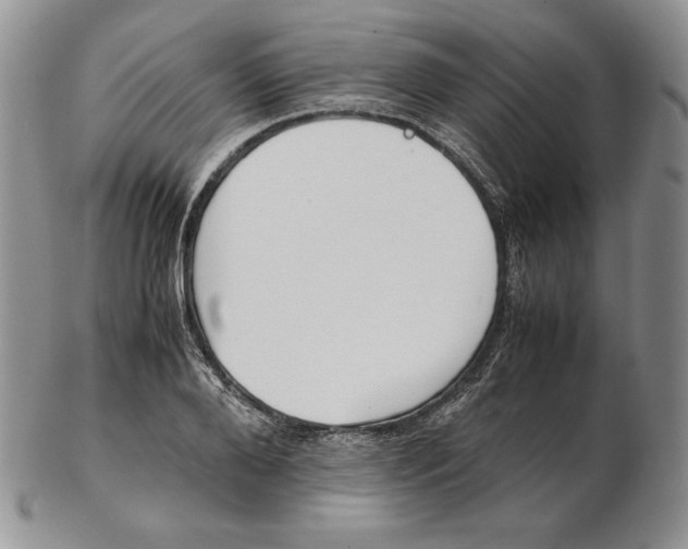 X0000102370888200808221736