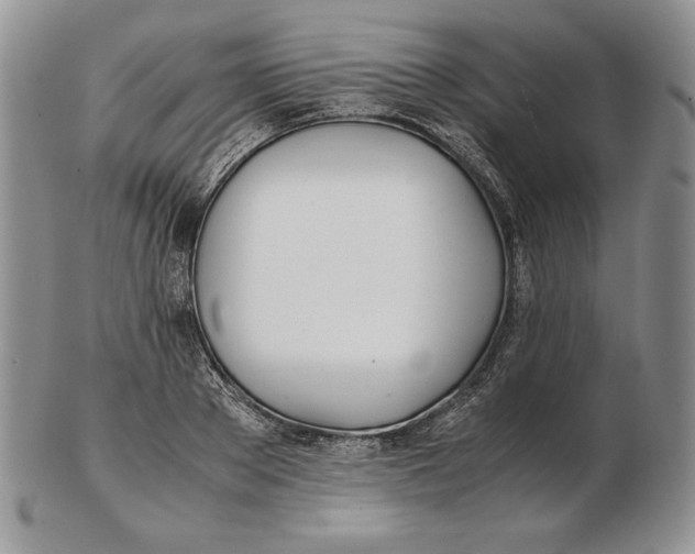 X0000102370889200808221736