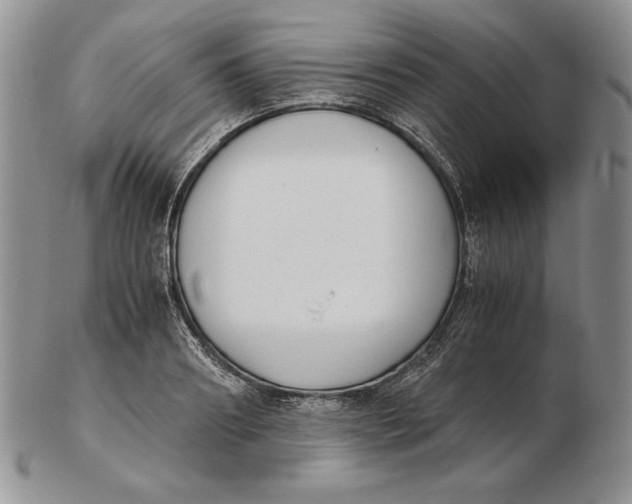 X0000102370890200808221736