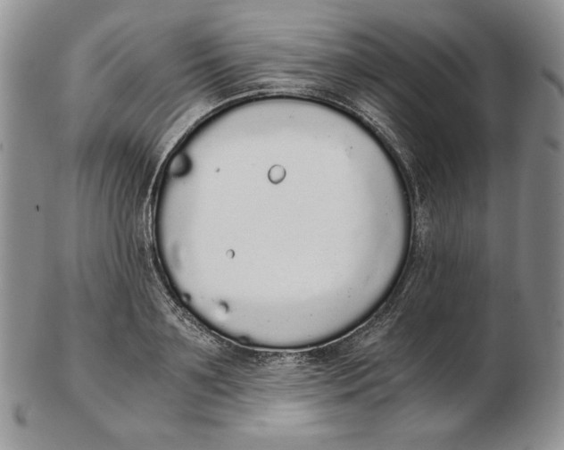 X0000102370891200808221736