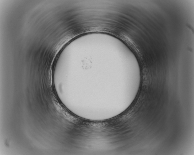 X0000102370892200808221736