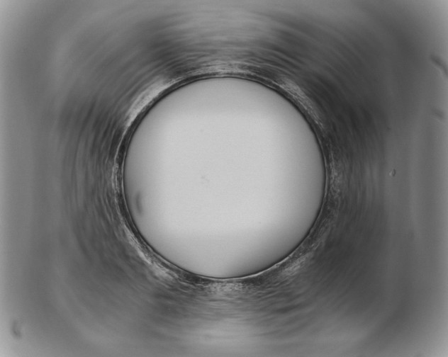 X0000102370893200808221736