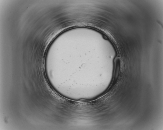 X0000102370895200808221736