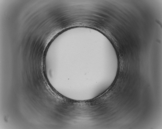 X0000102370896200808221736