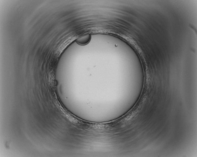 X0000102370897200808221736