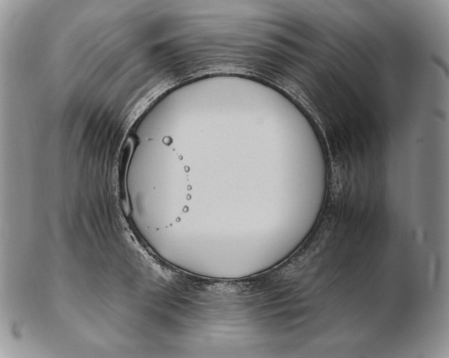 X0000102370898200808221736