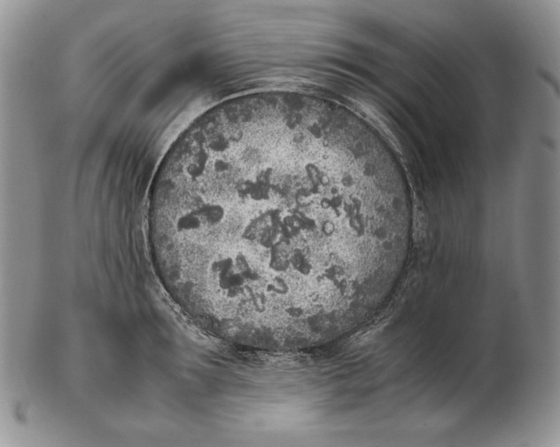 X0000102370899200808221736