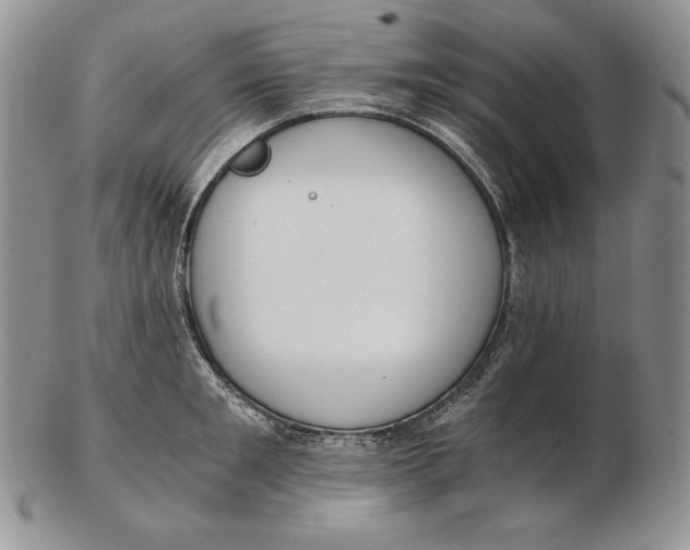 X0000102370901200808221736