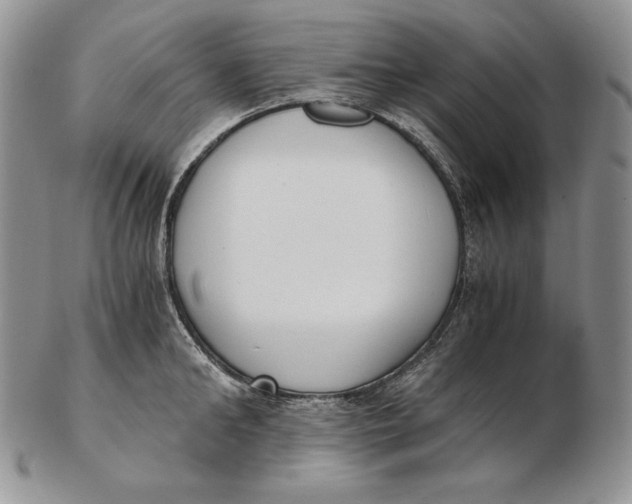 X0000102370902200808221736