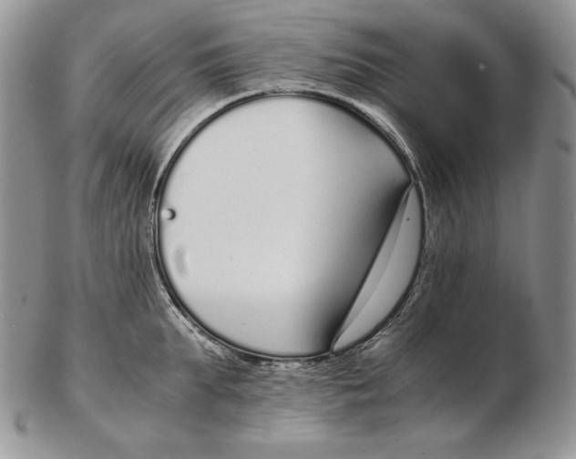 X0000102370903200808221736