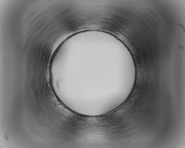 X0000102370904200808221736