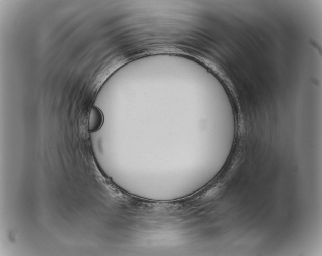 X0000102370905200808221736